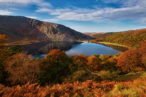 绿叶环绕的湖 · 免费素材图片