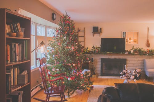 室内窗户旁边的绿色圣诞树 · 免费素材图片