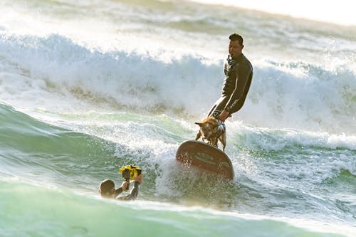 冲浪与他的冲浪狗冲浪 · 免费素材图片