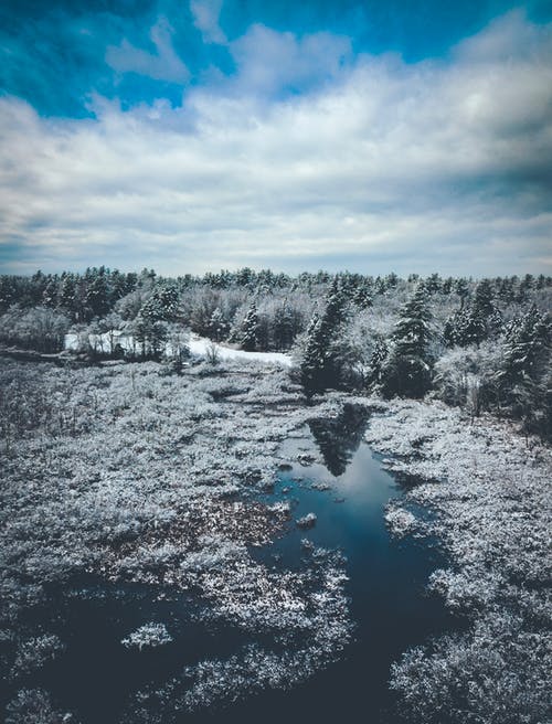 水旁积雪覆盖的树木景观摄影 · 免费素材图片