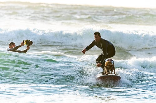 冲浪者和他的冲浪狗一起冲浪 · 免费素材图片