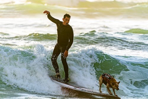 男人和他的狗冲浪 · 免费素材图片