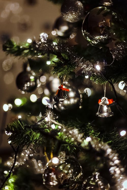 绿色圣诞树与散景摄影中的银铃铛 · 免费素材图片