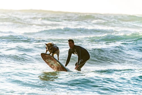 冲浪者和他的狗在冲浪板上 · 免费素材图片