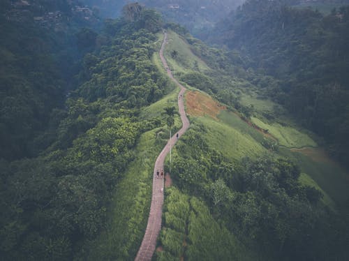 鸟瞰的路径 · 免费素材图片