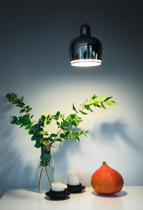 白色蜡烛旁边的绿叶植物焦点 · 免费素材图片