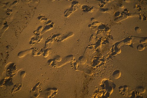 沙滩上的足迹照片 · 免费素材图片