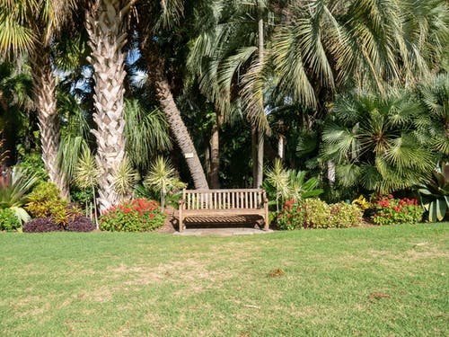 在公园的空棕色板凳 · 免费素材图片