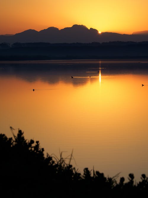 金色的夕阳中的湖 · 免费素材图片