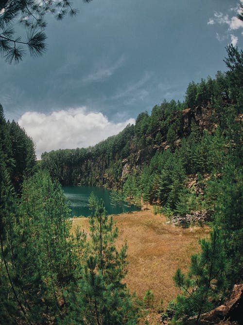 在森林中间的美丽湖 · 免费素材图片