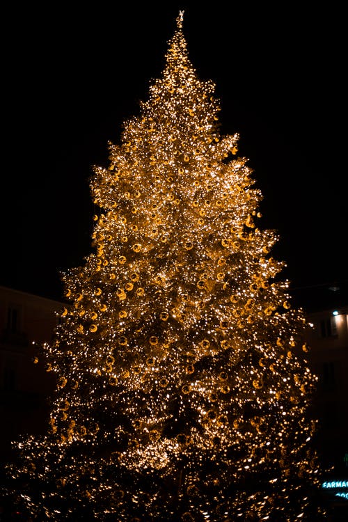 晚上点燃的圣诞树的照片 · 免费素材图片