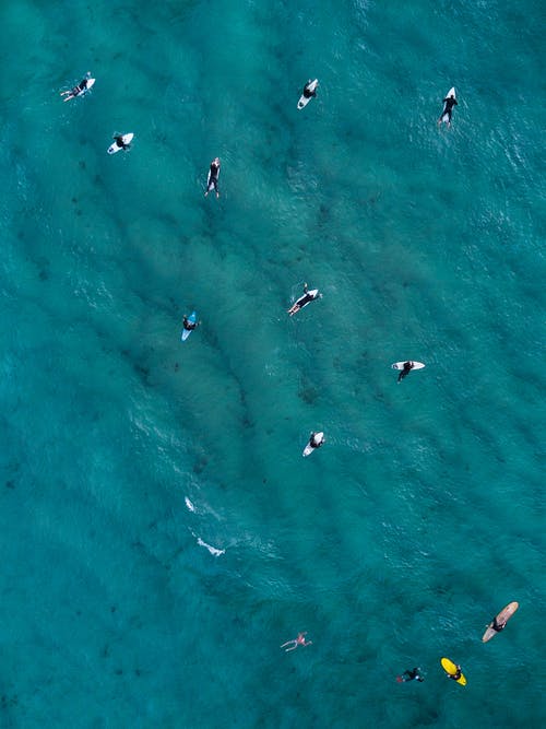 人们在水上冲浪板上的航拍 · 免费素材图片