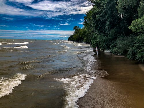 树木附近海浪的摄影 · 免费素材图片