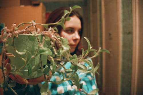 盆栽植物背后的女人 · 免费素材图片