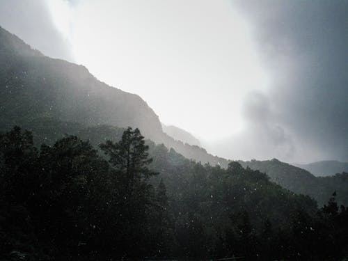 树木覆盖的山脉风景摄影 · 免费素材图片