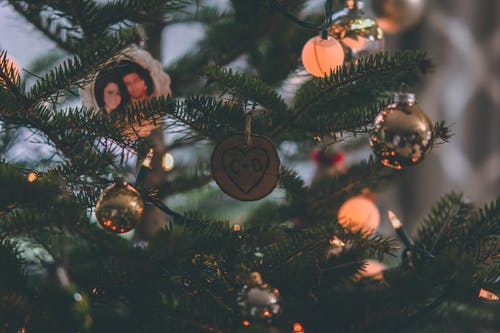 圣诞树的特写摄影 · 免费素材图片