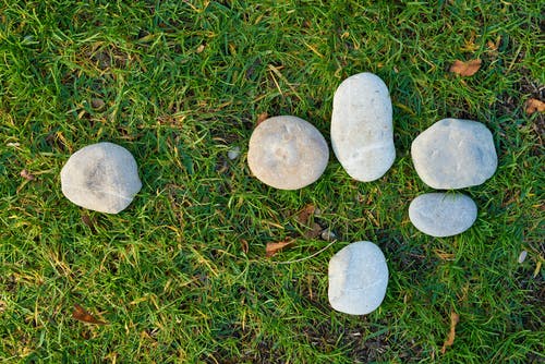 草地上的六个灰色石头 · 免费素材图片