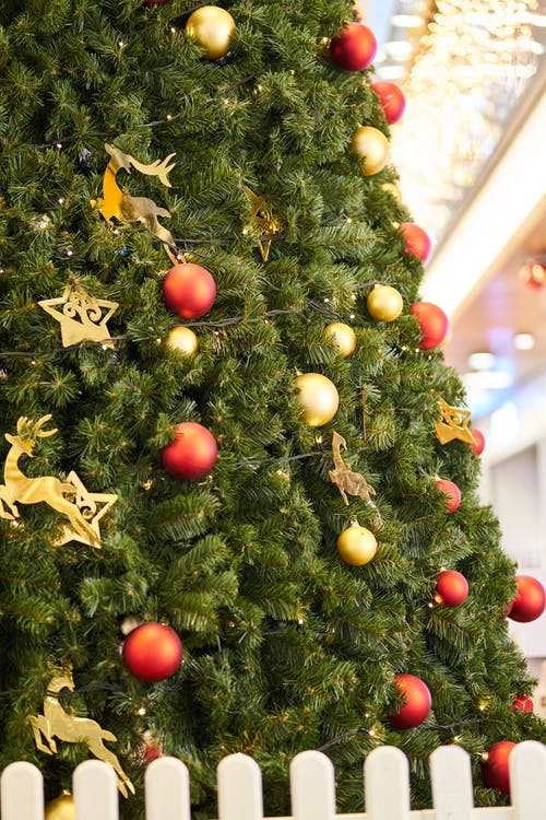 圣诞树上装饰着红色和金色的小玩意 · 免费素材图片