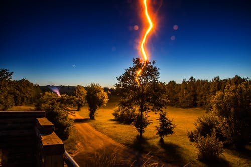 夜间房屋门前的雷击树 · 免费素材图片