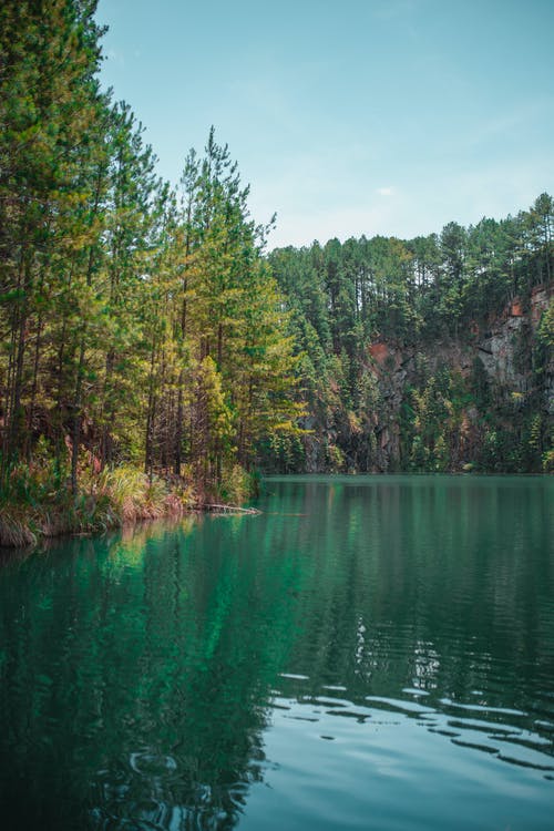 绿叶树环绕的湖 · 免费素材图片