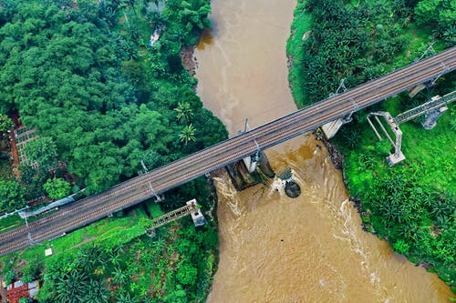 桥梁在河和树木 · 免费素材图片