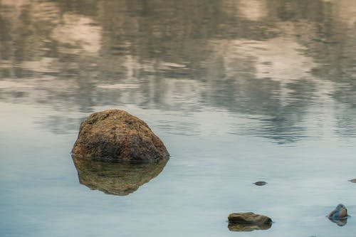 在水体上的棕岩 · 免费素材图片