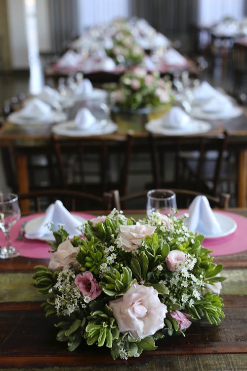 白色和粉红色的花瓣花 · 免费素材图片