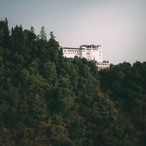 白宫被树木包围 · 免费素材图片