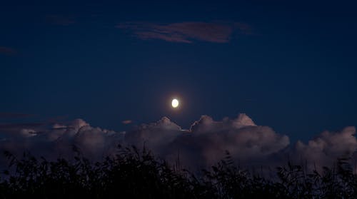 夜空的风景 · 免费素材图片