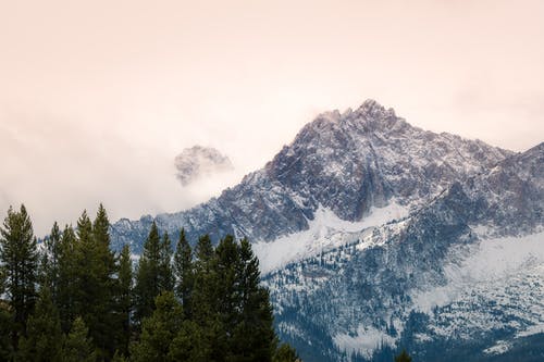 山与树 · 免费素材图片