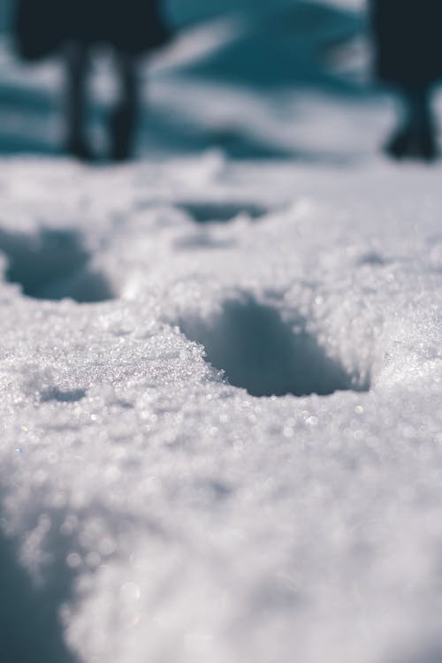 雪的近距离视图 · 免费素材图片