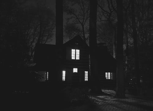 晚上在树上有灯的房子 · 免费素材图片