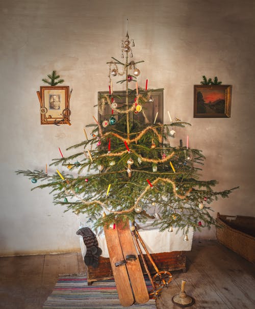 房间里的圣诞树 · 免费素材图片