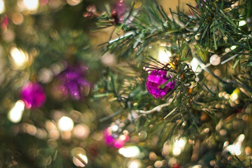 圣诞树用紫色的小玩意 · 免费素材图片