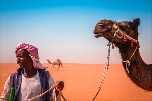 站在沙漠上的骆驼旁边的人 · 免费素材图片