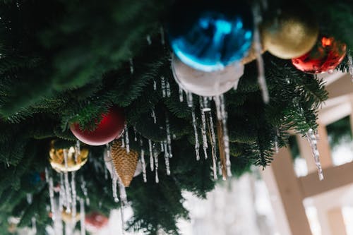 圣诞树小玩意浅焦点摄影 · 免费素材图片