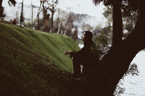 吸烟时坐在树下的男人 · 免费素材图片