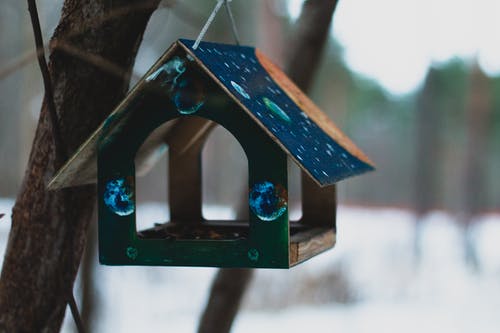 蓝色木制鸟笼的选择性聚焦摄影 · 免费素材图片