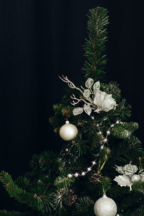 绿色圣诞树与白色的小玩意和花饰品 · 免费素材图片
