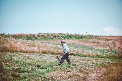 在农场上行走的人 · 免费素材图片