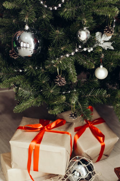 圣诞树下的礼物照片 · 免费素材图片