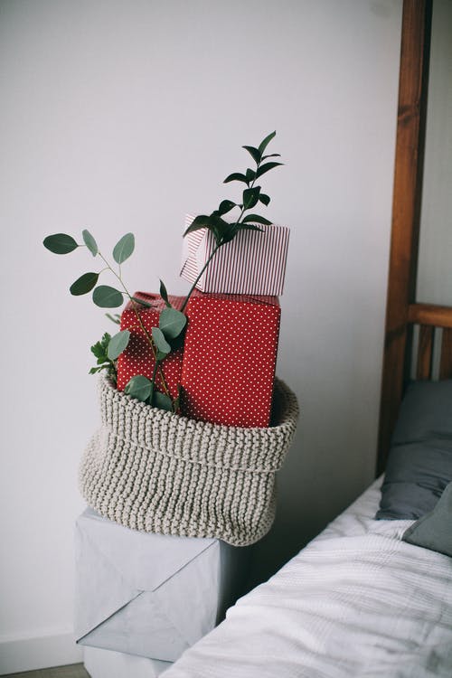 灰色编织容器中的绿叶植物 · 免费素材图片