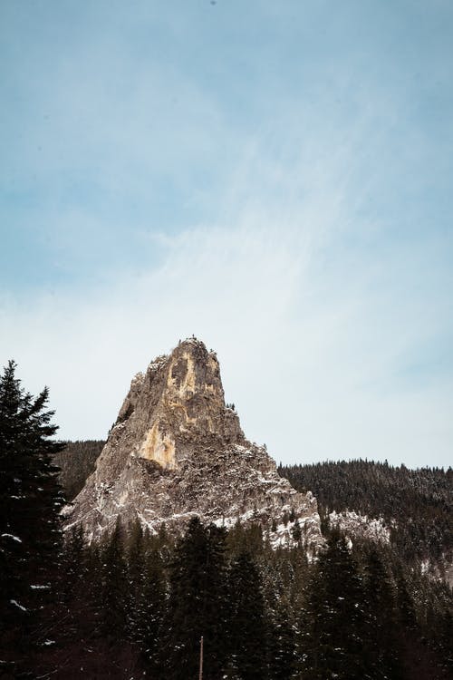 树木环绕的布朗山 · 免费素材图片