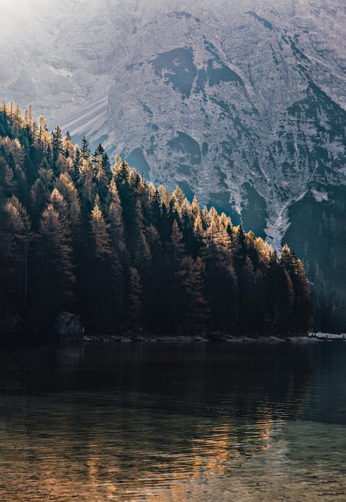 森林附近的湖照片 · 免费素材图片