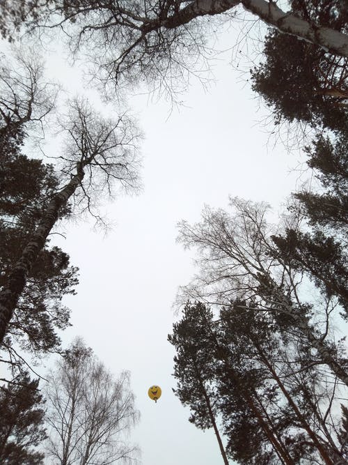 黄色气球 · 免费素材图片