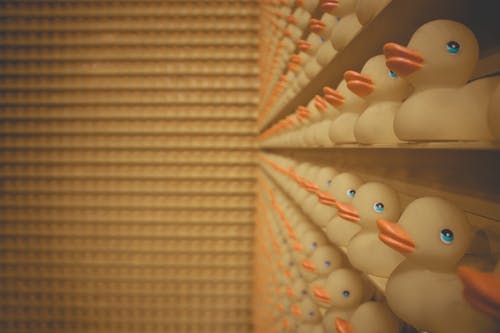 在架子上排队的橡皮鸭 · 免费素材图片