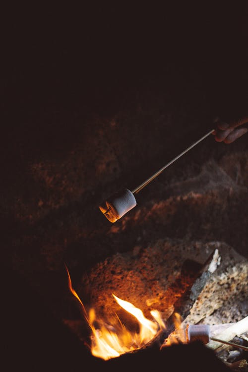 棉花糖烤着火 · 免费素材图片