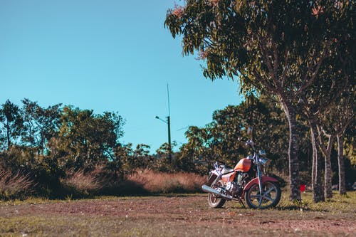红色摩托车停在树下 · 免费素材图片