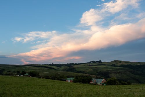 绿草草坪 · 免费素材图片