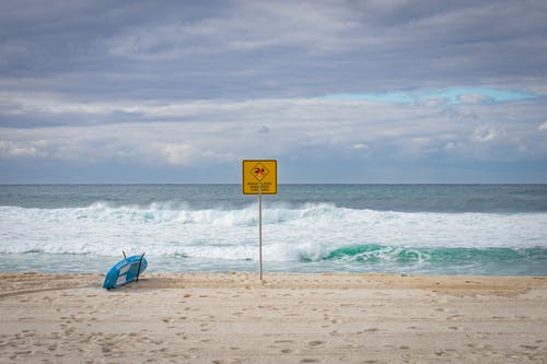 在标牌附近的海岸线的蓝色冲浪板 · 免费素材图片
